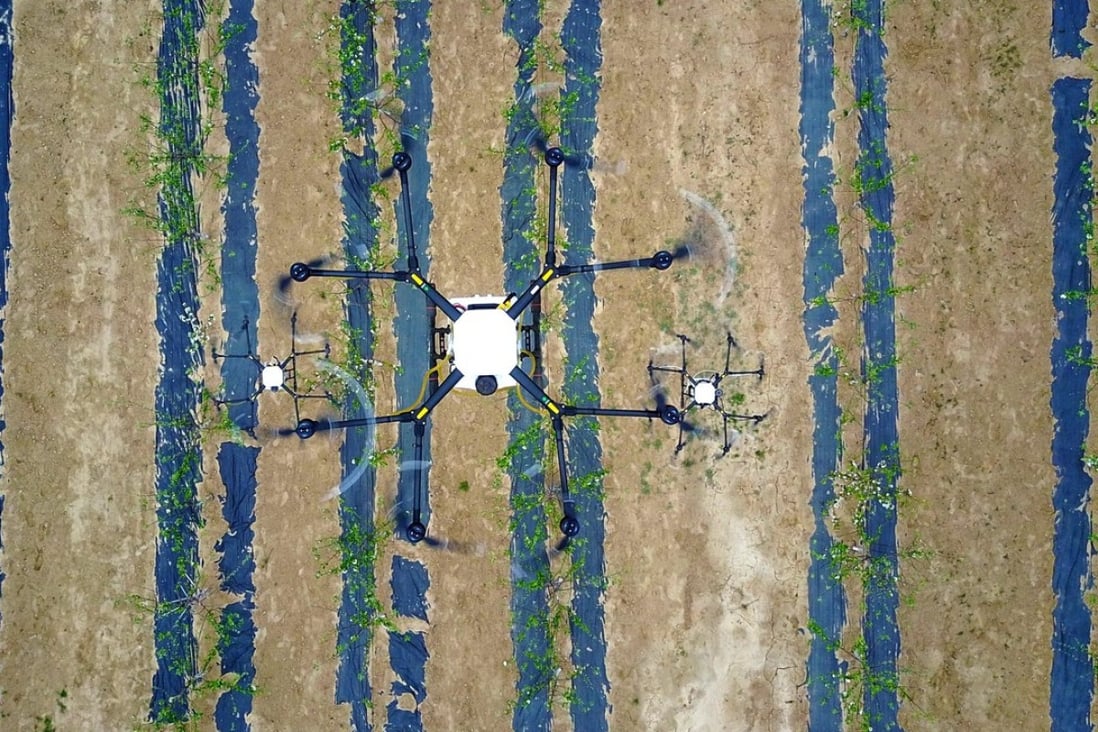 A drone sprays pesticide on to a field in Jixian, northern China’s Shanxi province. Photo: Xinhua