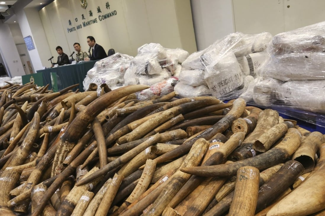 Hong Kong authorities must do more to stamp out the illegal trade in endangered species, researchers said. Photo: Dickson Lee