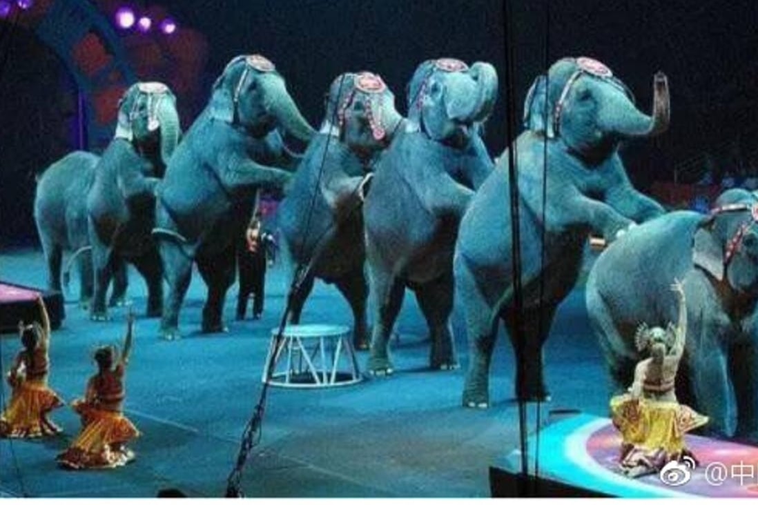 Circus performers refuse to leave the stage as zoo tries to ban live
