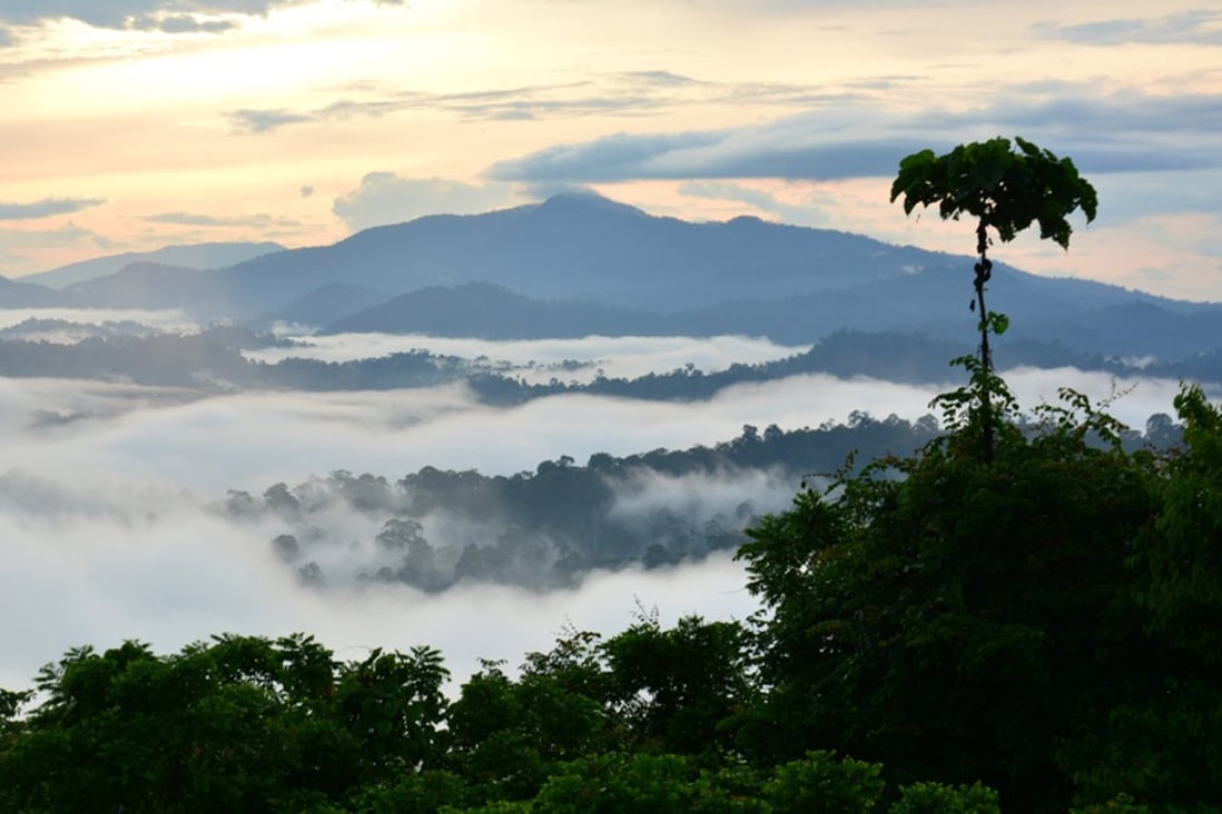 Book Review Finding Eden Tells Of Borneo S Beauty Before Deforestation Destroyed The Island South China Morning Post Book Review Finding Eden Tells Of Borneo S Beauty Before Deforestation Destroyed The Island South China Morning Post
