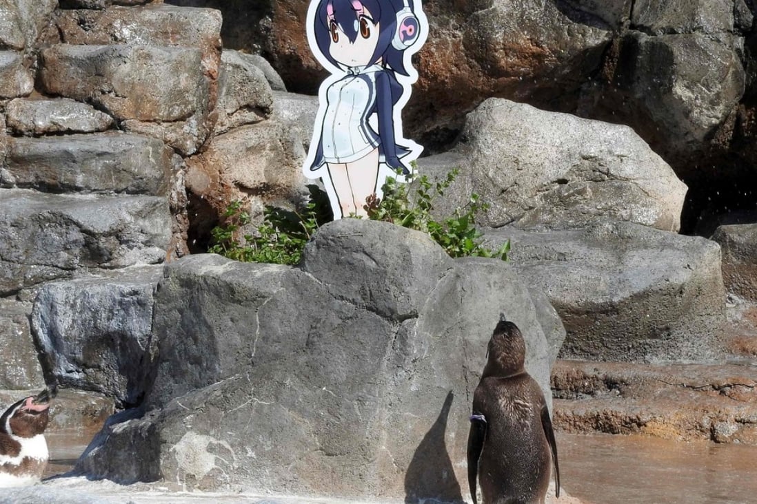 Japanese zoo mourns death of penguin that fell in love with anime character  | South China Morning Post