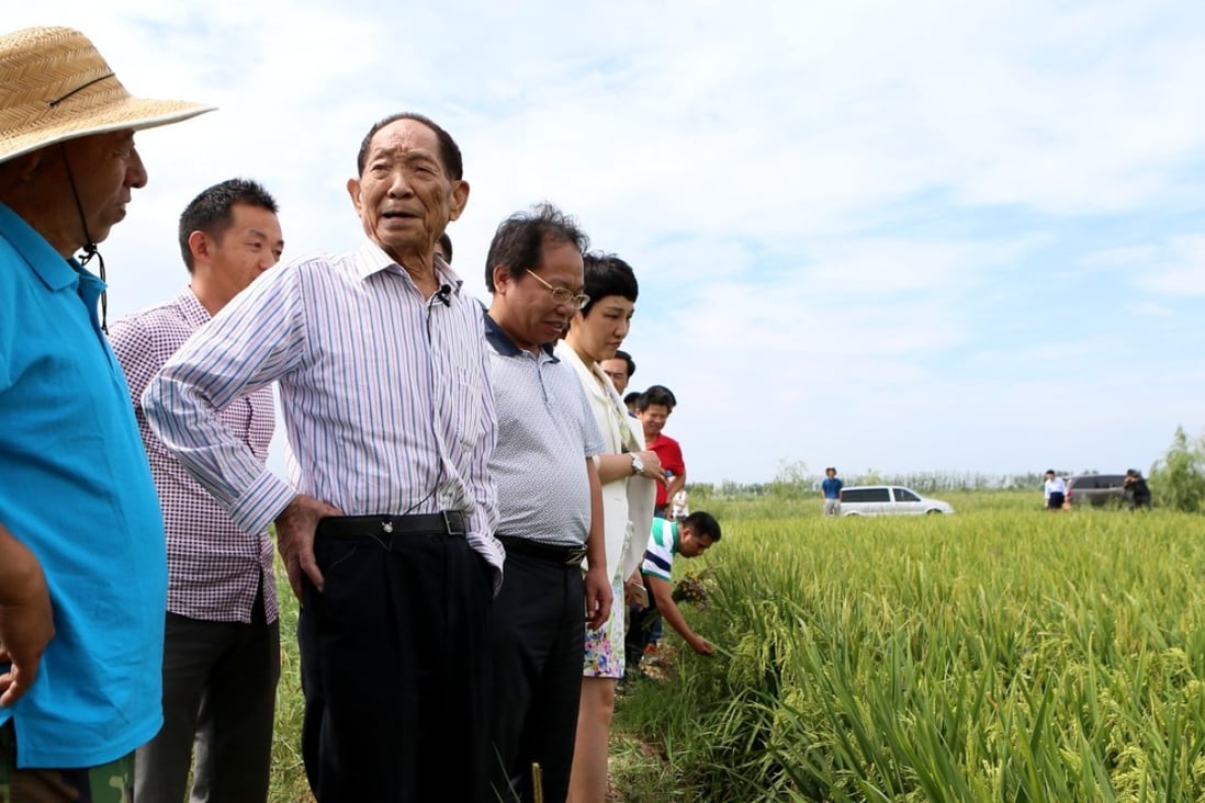 Yuan Longping (centre) inspects a rice field at the Qingdao Saline-Alkaline Tolerant Rice Research and Development Centre in Qingdao, Shandong province, last month. Photo: China Foto Press