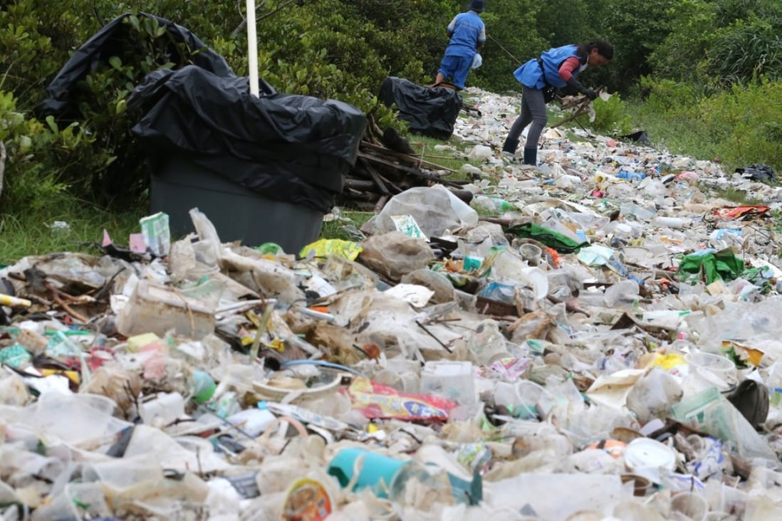 A shoreline clean-up operation at Shui Hau on Lantau Island last year. Photo: Felix Wong