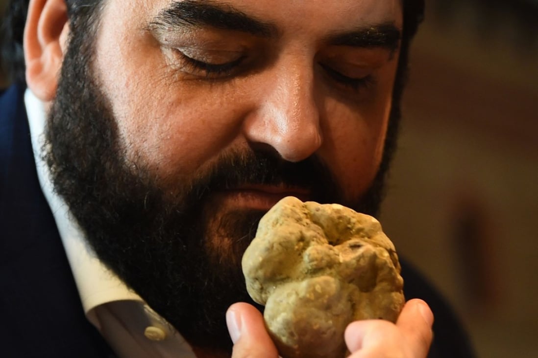 Italian chef Antonino Cannavacciuolo smells a white truffle at the World Alba White Truffle Auction. Photo: AFP/ MARCO BERTORELLO