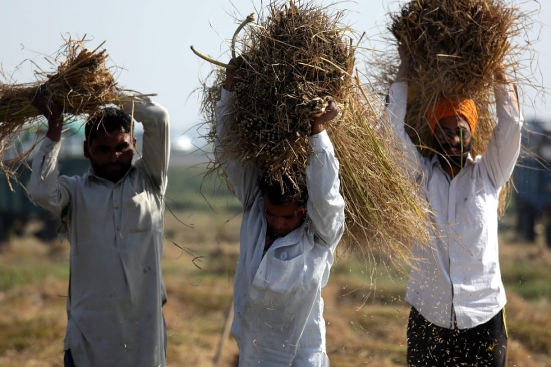 World has more farmland with India, US and China ranked as the top