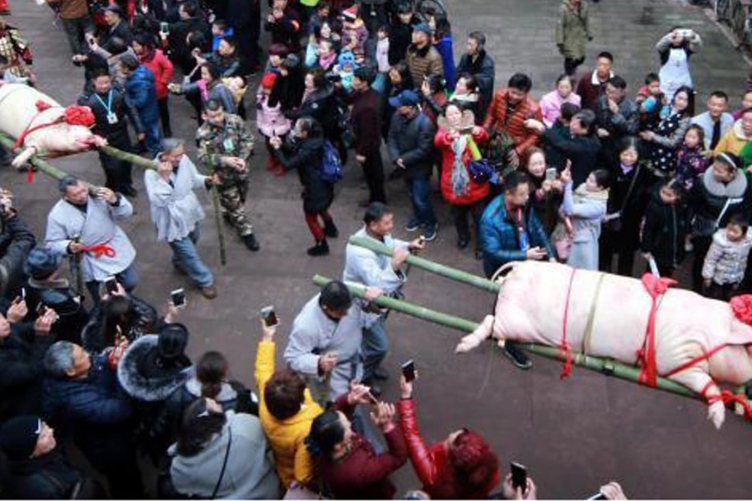 Two sacrifical pigs are paraded through the streets of Shangli Ancient Town in southwestern China’s Sichuan province on Saturday at the start of an annual festival. Photo: CNA