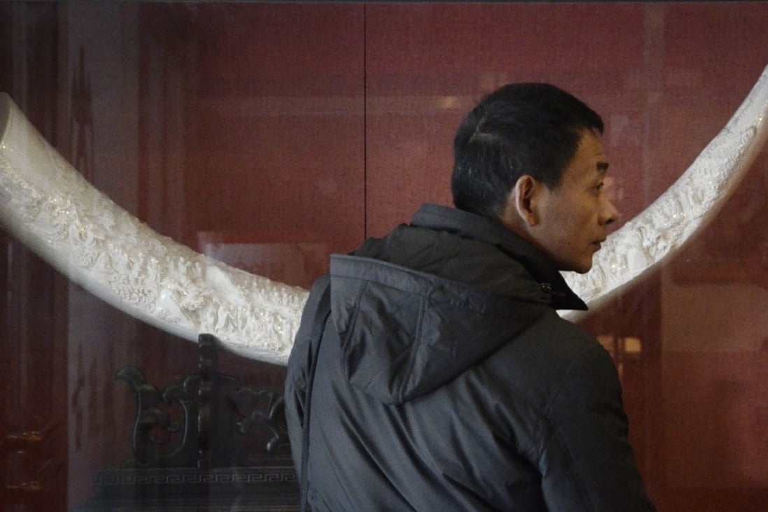 China has banned sales and purchases of elephant ivory products. Photo: AFP