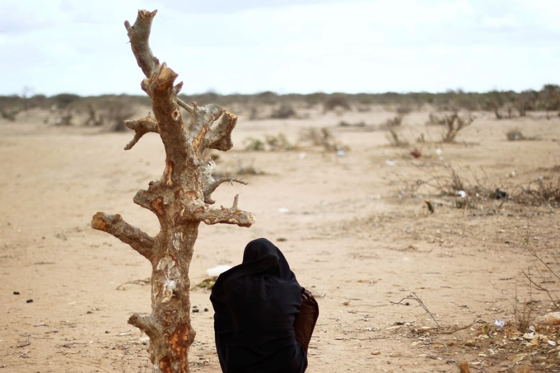 A pregnant Somali woman sits by a tree trunk outside Dadaab. Photo: AP