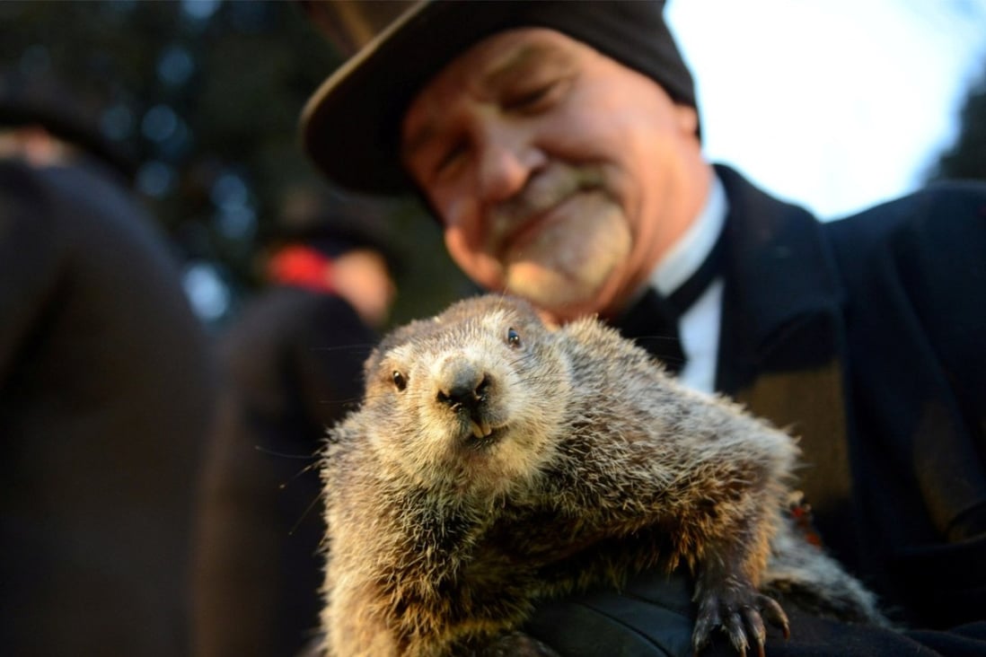 Co-handler John Griffiths holds Punxsutawney Phil for the crowd gathered at Gobbler's Knob on the 132nd Groundhog Day in Punxsutawney, Pennsylvania, on Friday. Photo: Reuters