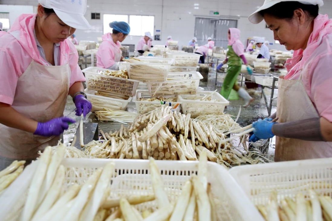 Workers process asparagus at a factory in Huaibei, Anhui province. PPhoto: AFP