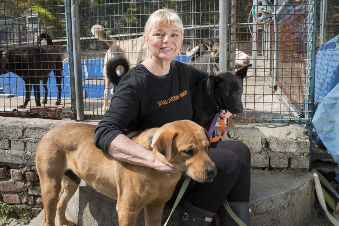 Naralle Pamuk with some of her dogs at Sai Kung Stray Friends. Picture: Antony Dickson