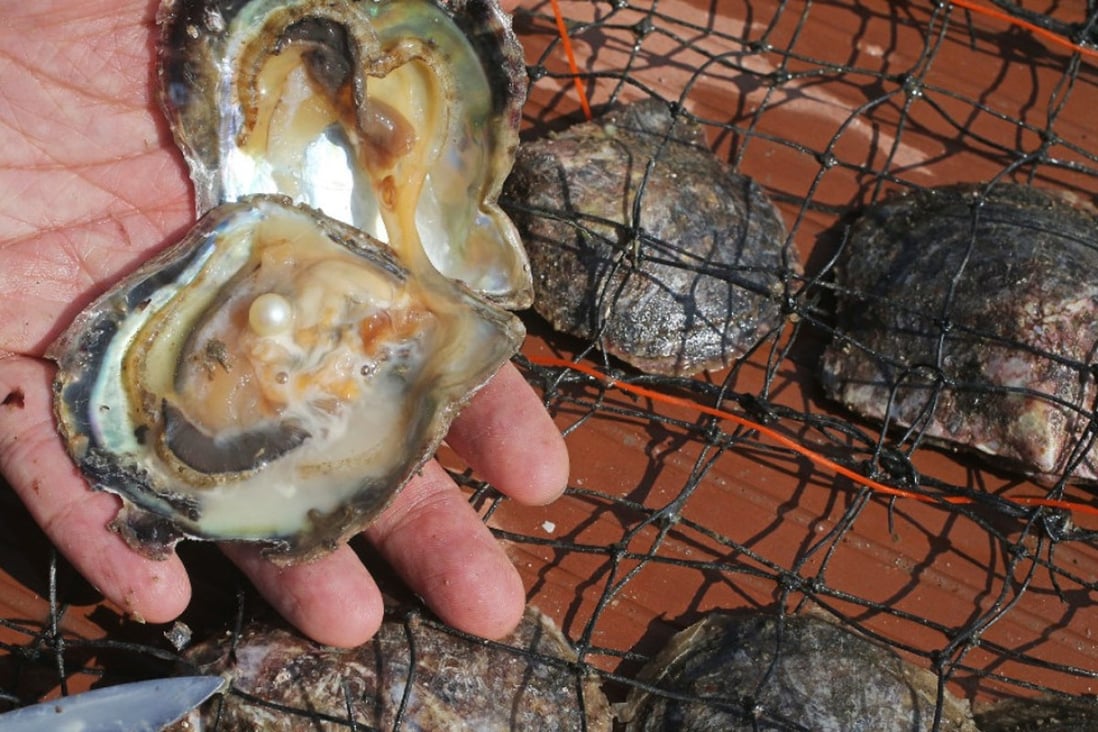 A pearl is found in an oyster farmed off the coast of Tai Po. Picture: David Wong