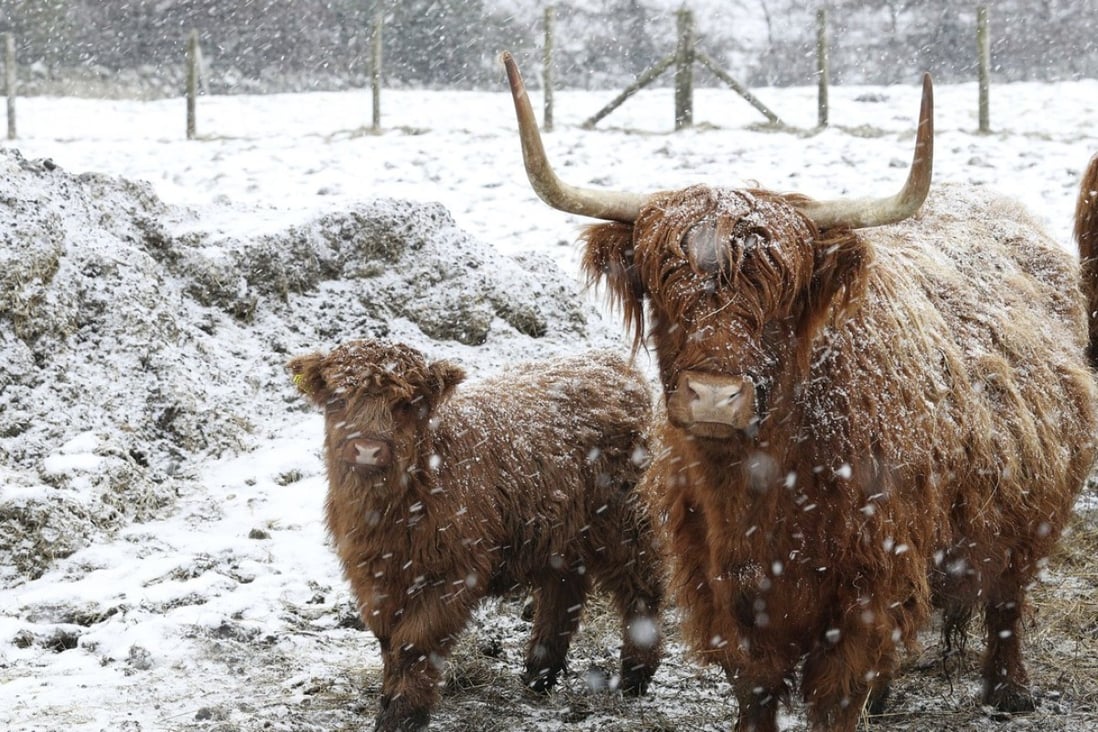 It’s been another icy winter in Britain. Photo: AP
