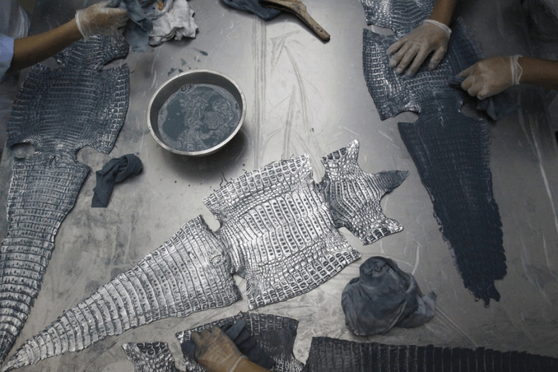 Factory workers applying dyes to crocodile skins at a crocodile leather tannery in Singapore. The tannery supplies tanned crocodile leather for top international luxury brands, including Italian labels such as Prada, for the manufacture of watch straps, handbags, shoes, clothing and belts. Photo: Reuters