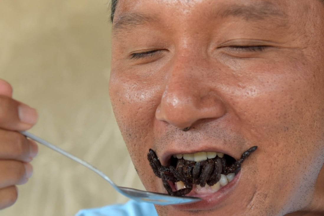 A Cambodian guide eating a fried tarantula at Skun in Kampong Cham province. Photo: AFP