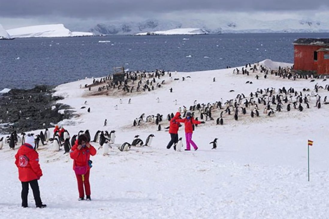 Dealing with Chinese tourists at Antarctica’s Great Wall keeps researchers away from their work, a scientist says. Photo: Handout