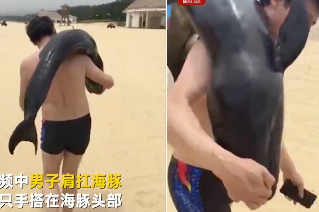 The man filmed taking the dolphin. Photo: Tencent