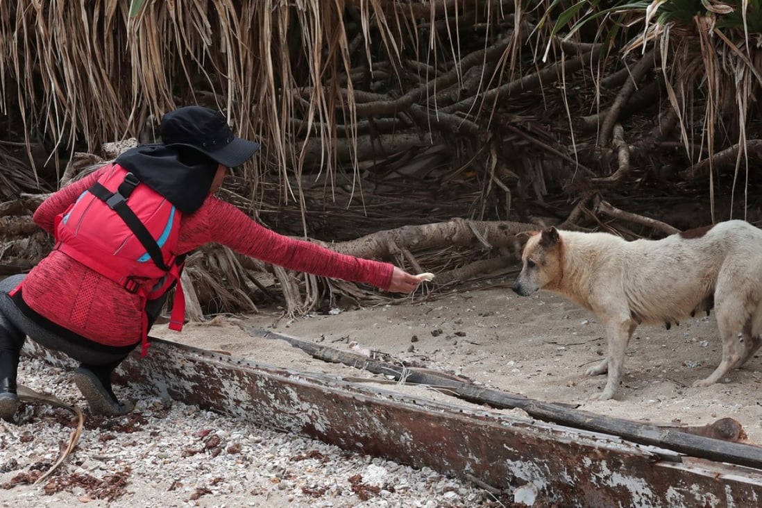 Mary Jean Gaje gives food to Fifi on an island off Sai Kung. Photo: Jonathan Wong