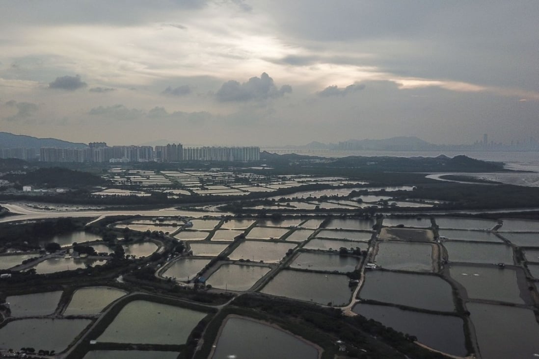 Aerial view of Tai Sang Wai, southwest of Yuen Long in Hong Kong’s New Territories. Photo: Winson Wong