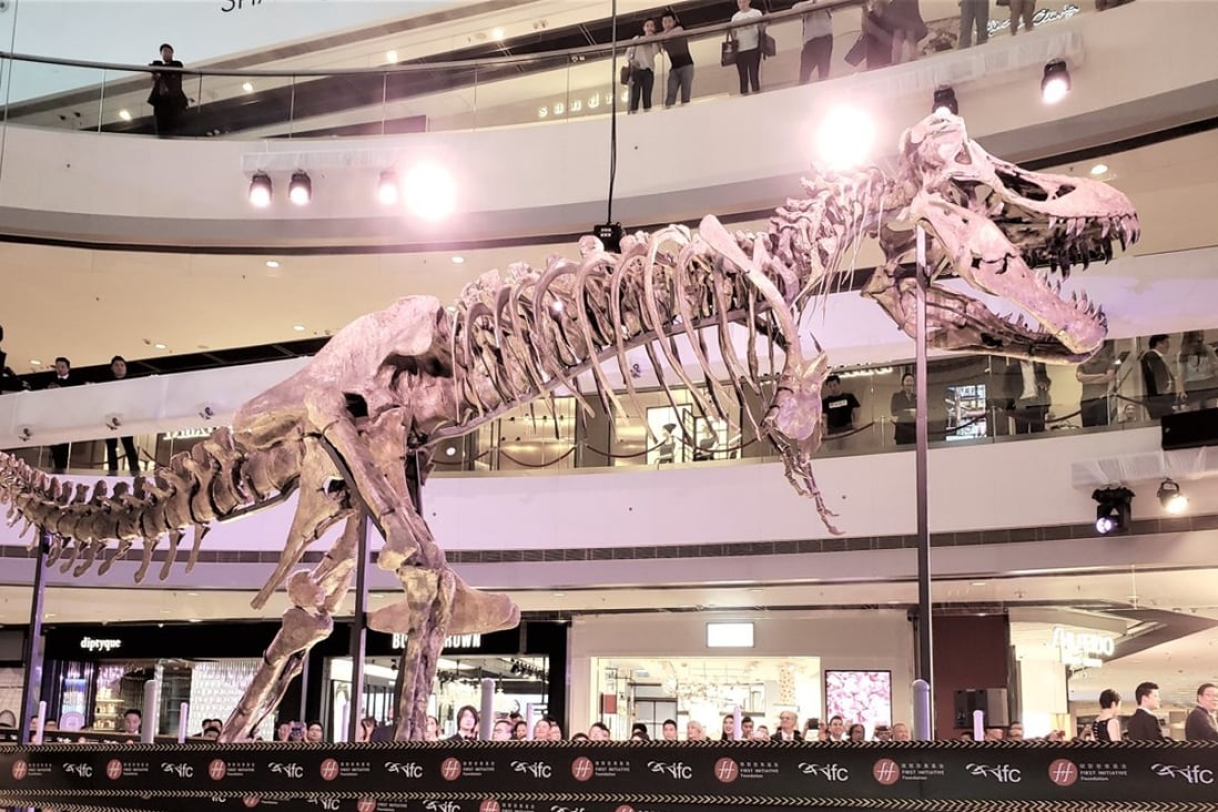 ‘TAG’ the Tyrannosaurus rex skeleton display, which is open to the public daily in the atrium of Hong Kong’s IFC Mall until June 27.