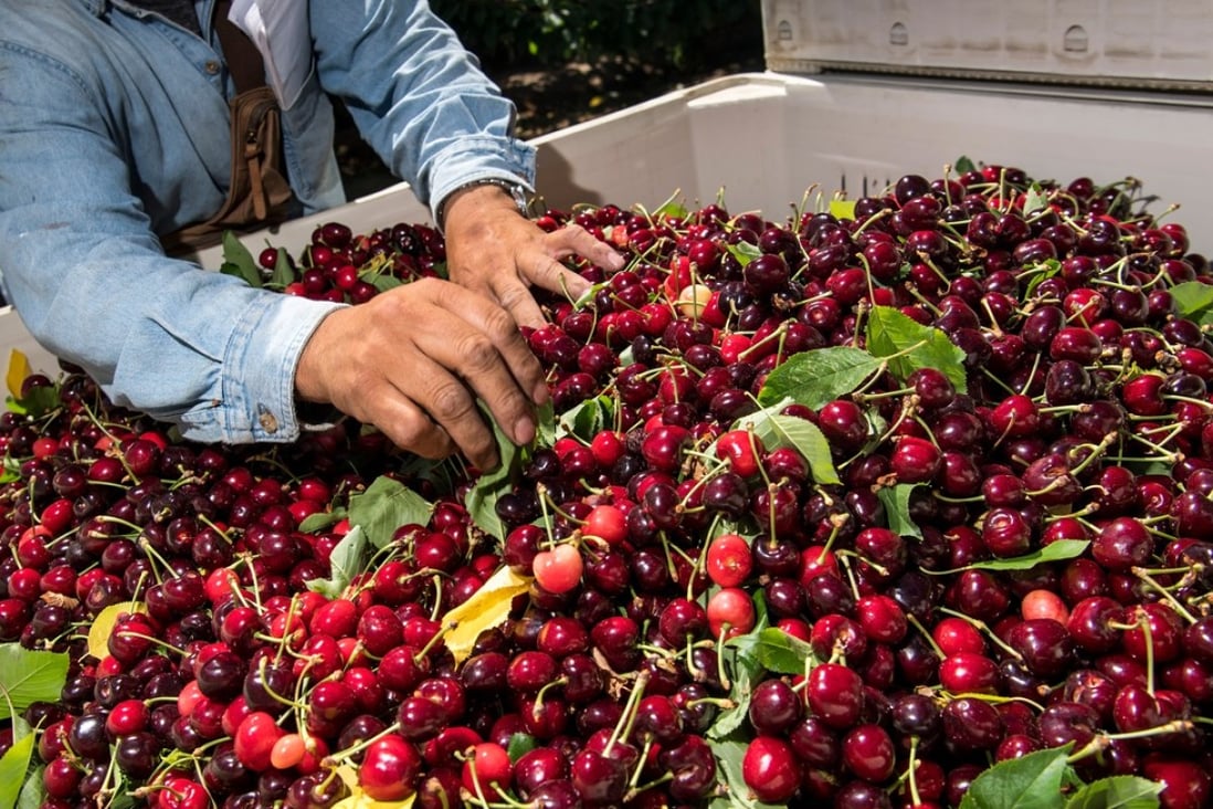 China has imposed additional taxes on imports of American fruit. Photo: Bloomberg