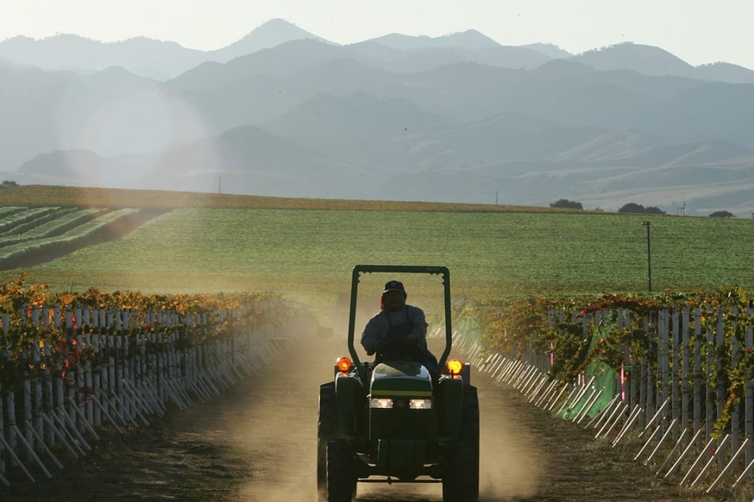 A farm worker drives a tractor through the a vineyard during harvest at the Byron Vineyard and Winery in Santa Maria, California, in 2006. Vineyards, nut farms, microchip production plants and car engine factories will be seriously impacted if the trade war between the United States and China deepens. Photo: AFP
