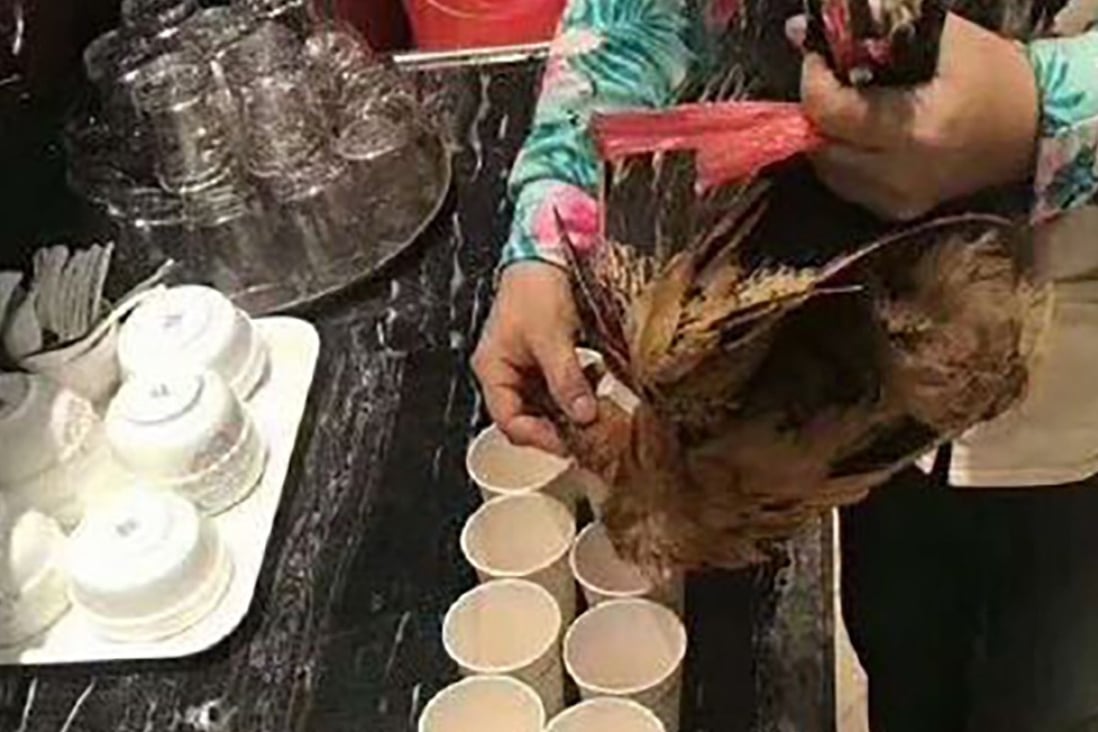 Chicken blood for the soul? Animal ritual toast at real estate firm’s