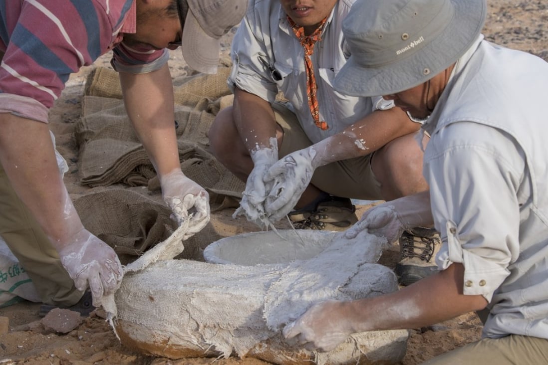 Chinzorig Tsogtbaatar and other team members use papier-mâché to protect fossils. Picture: courtesy of Mike Sakas / The Explorers Club Hong Kong Chapter