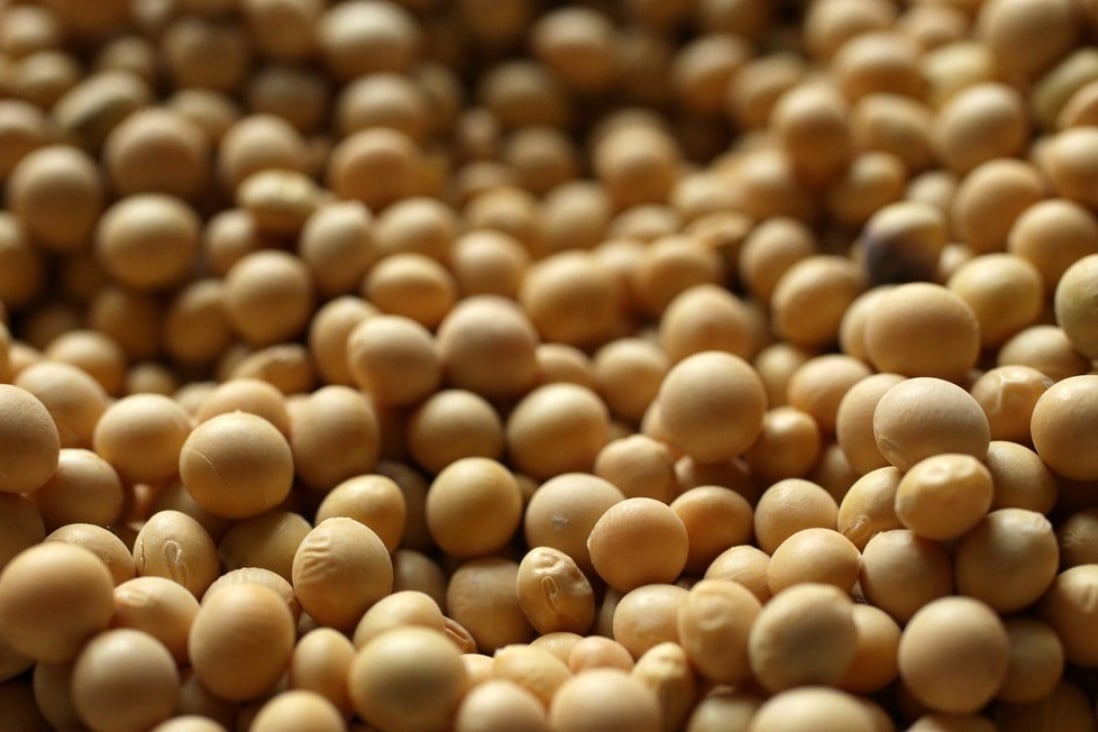 China has been the biggest buyer of US soybean but imports are now caught up in Beijing and Washington’s tit-for-tat tariffs. Photo: TNS