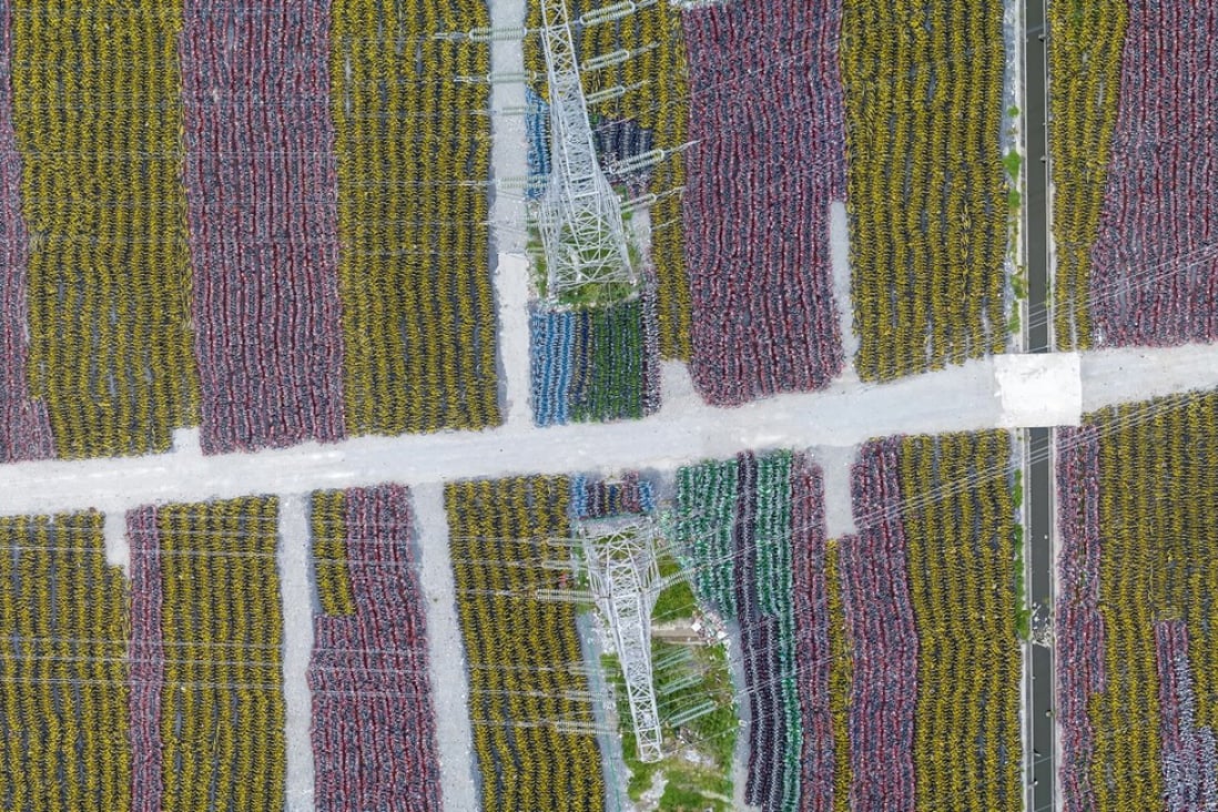 Pudong, Shanghai, China. Wu Guoyong: “This is the largest shared-bicycle graveyard I’ve photographed. There are more than 100,000 bicycles neatly arranged on a vast tract of unused land. It looks to me like a colourful field of flowers.” Pictures: Wu Guoyong