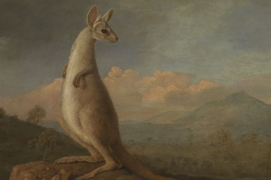 The Kongouro from New Holland (1772) by George Stubbs, commissioned after Captain James Cook returned from Australia with the word and pelts from the antipodean animal. Picture: National Maritime Museum