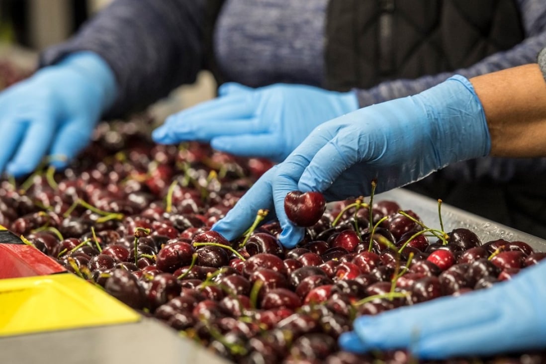 Cherries are now up to 20 per cent cheaper in Hong Kong. Photo: Bloomberg