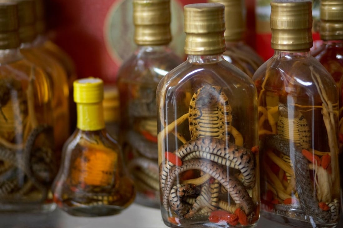 Vietnam’s Ruou thuoc or snake wine is traditionally believed to make men more virile. Photo: Alamy