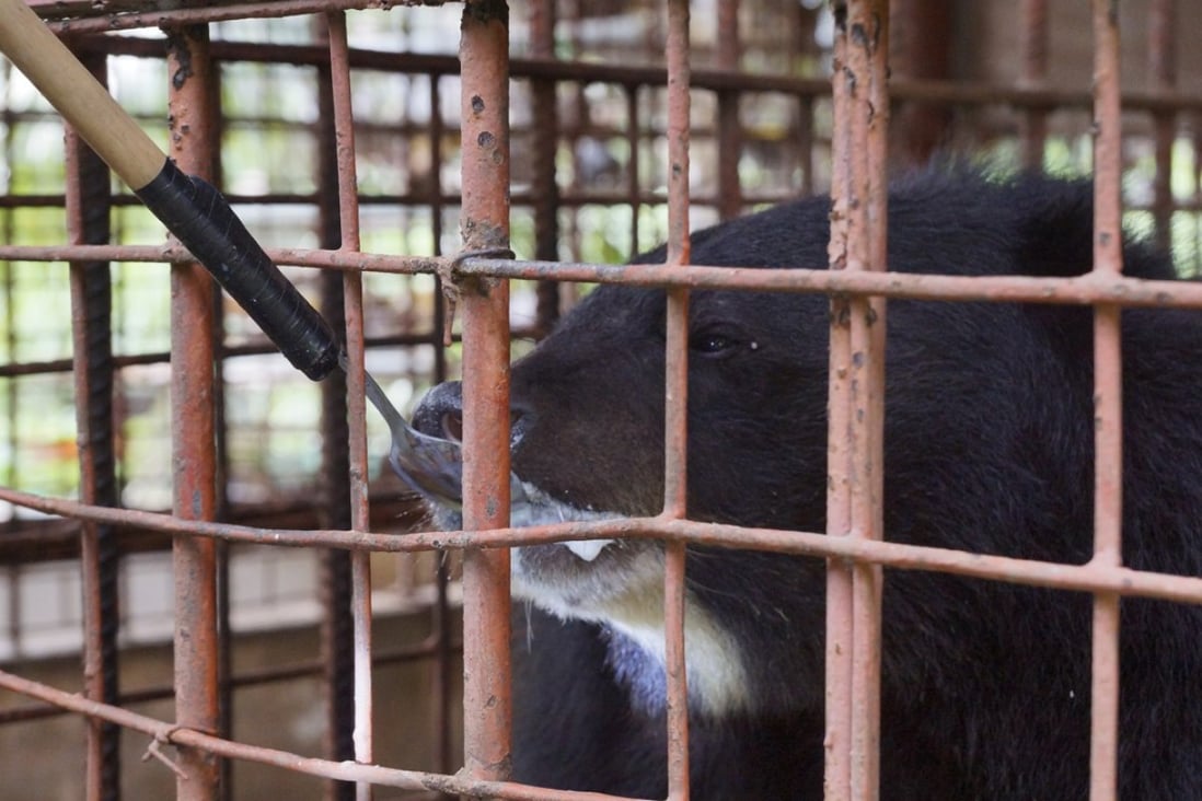 Five moon bears rescued by Hong Kongbased charity from bile farm in
