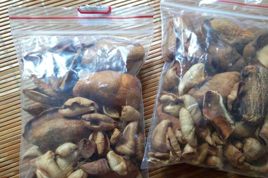 A buyer posted two bags of processed pangolin scales weighing 100 grams he bought from Pinduoduo. Photo: Handout