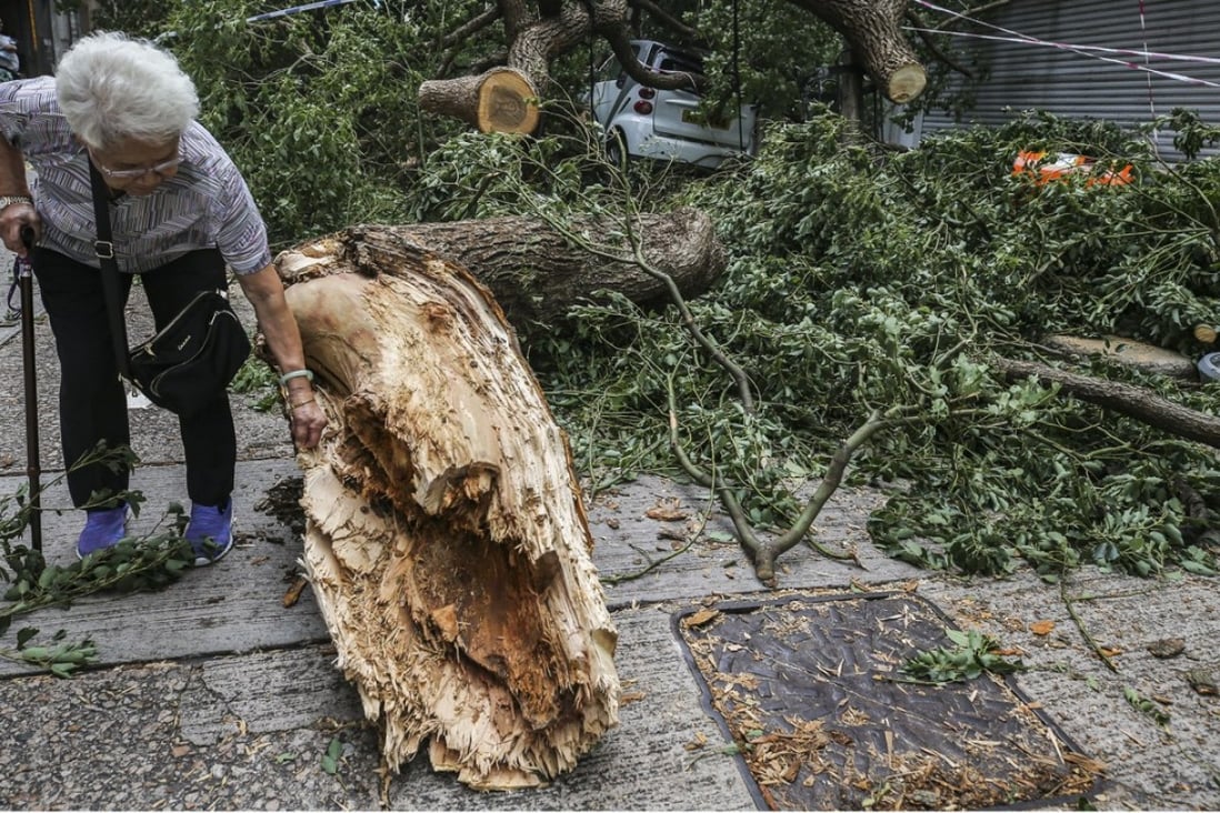 Typhoon Mangkhut toppled about 1,500 trees in the city. Photo: Sam Tsang