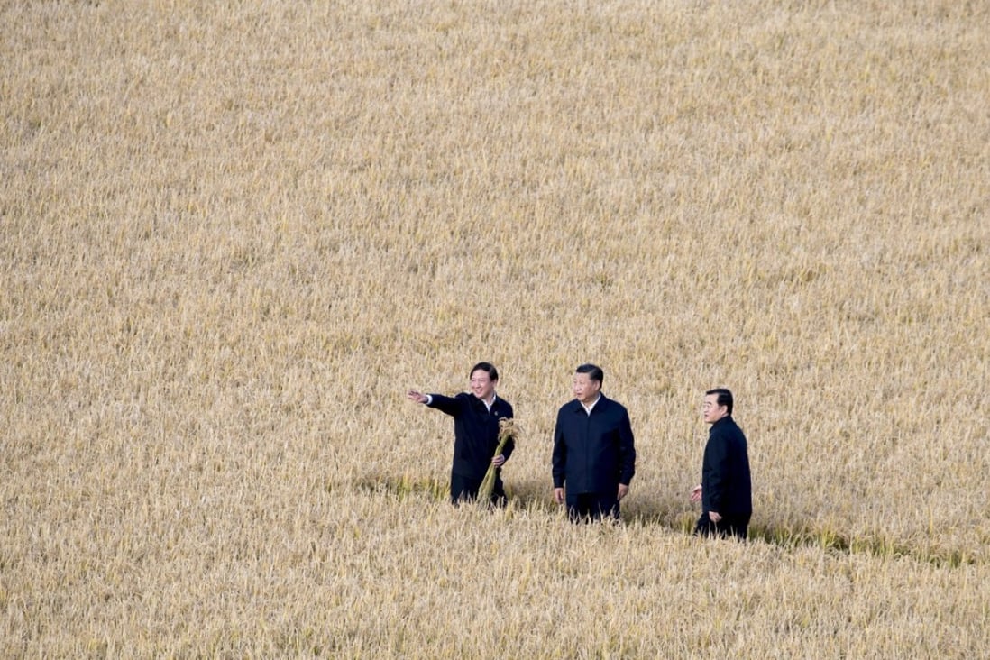 Chinese President Xi Jinping (centre), along with the general secretary of the Communist Party of China Central Committee and chairman of the Central Military Commission, visits a farm in northeast China's Heilongjiang province on September 25, 2018. Photo: Xinhua