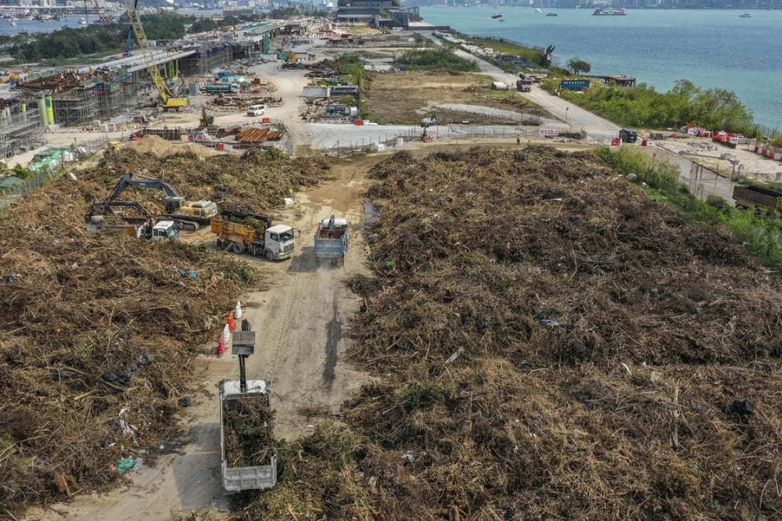 A view of the extent of tree waste stored at Kai Tak. Photo: Roy Issa