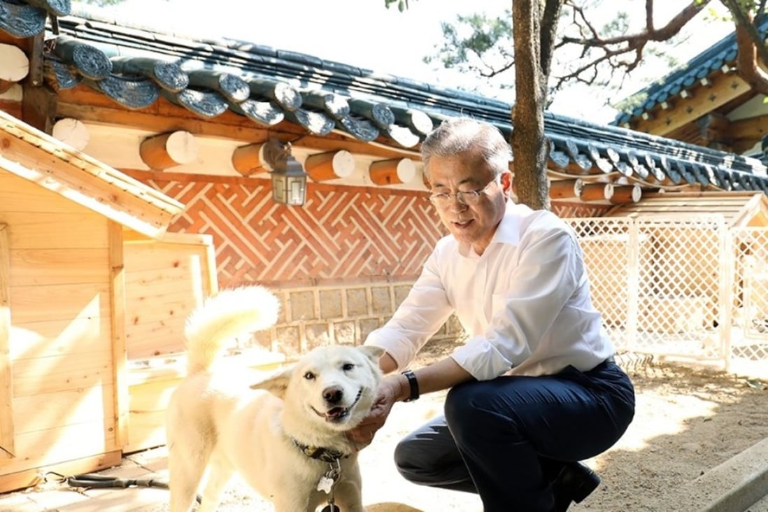 South Korean President Moon Jae-in and one of the pungsan puppies gifted to him by North Korea’s Kim Jong-un. Photo: Handout
