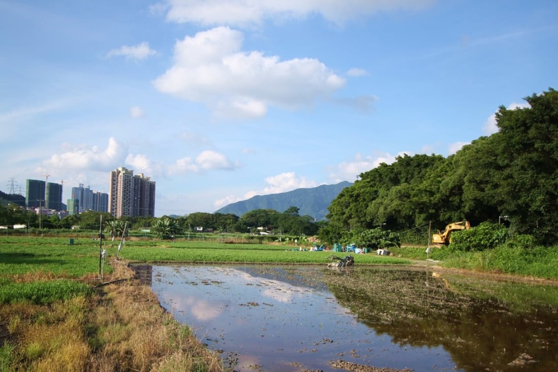 Brownfield site development for New Territories North town plan to be