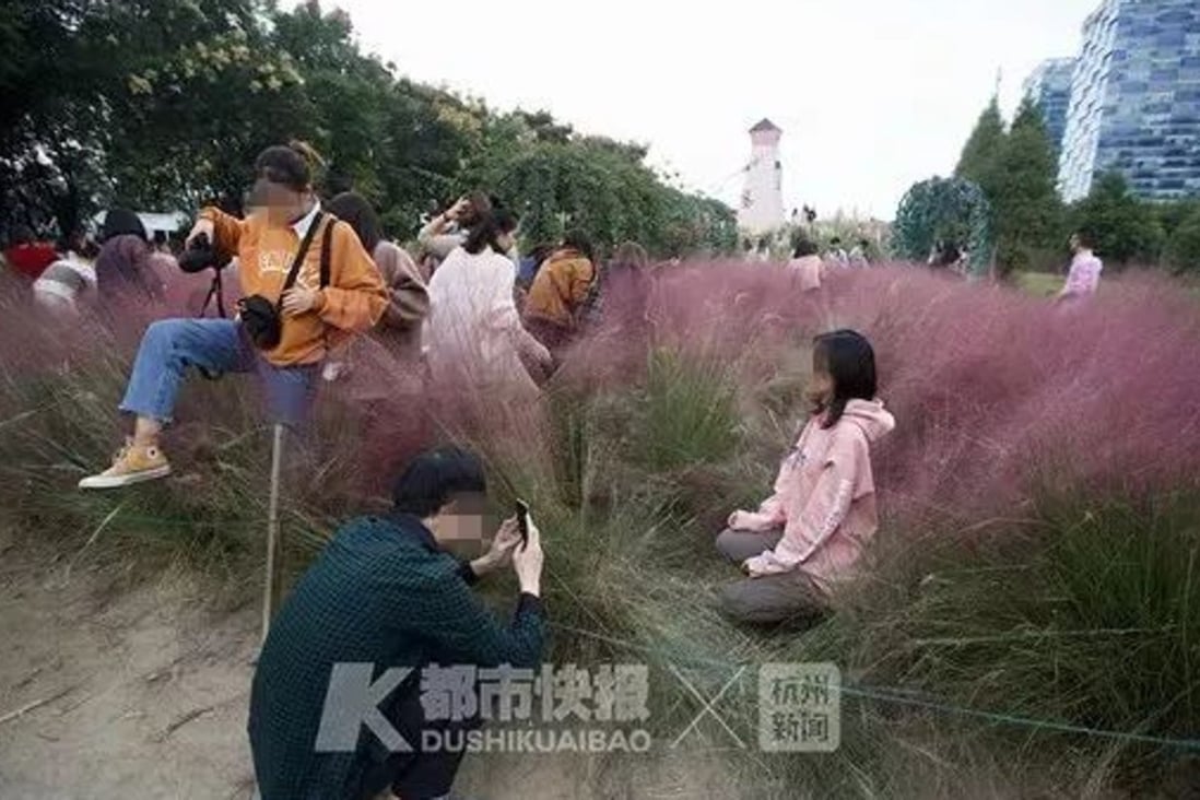 Selfie-seeking tourists trample the grass despite requests to stay off it. Photo: Hzdaily.hangzhou.com.cn
