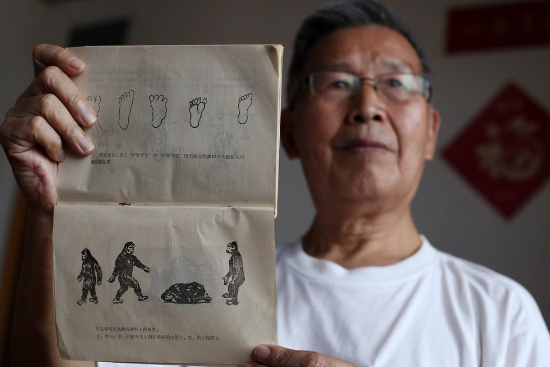 Chen Liansheng, 75, Shennongjia Forest District Communist Party Bureau then worked at the Propaganda Department of Hubei TV Station as a journalist, shows his book at home in Wuhan on the research and witness account of the Yeren in Shennongjia. Photo: Nora Tam