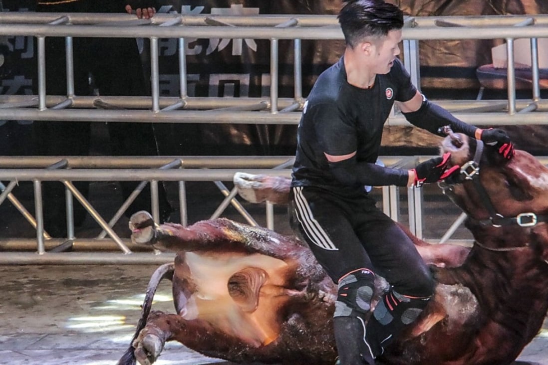 Bullfighter Ren Ruzhi fighting with a bull. Photo: Handout