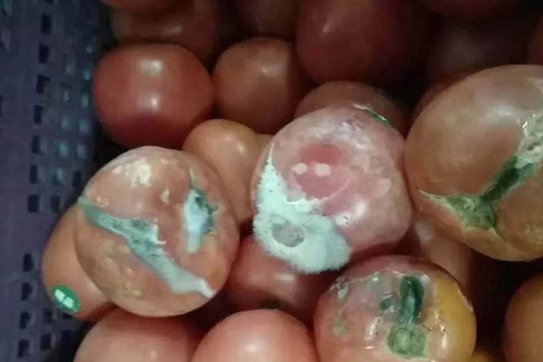The head of a well-known international school in Shanghai has been dismissed as health and education authorities in the eastern Chinese city investigate the discovery of mouldy tomatoes and onions in a kitchen preparing food for pupils. Photo: CCTV