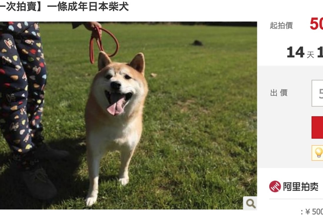 Dog Sold For 2 Million