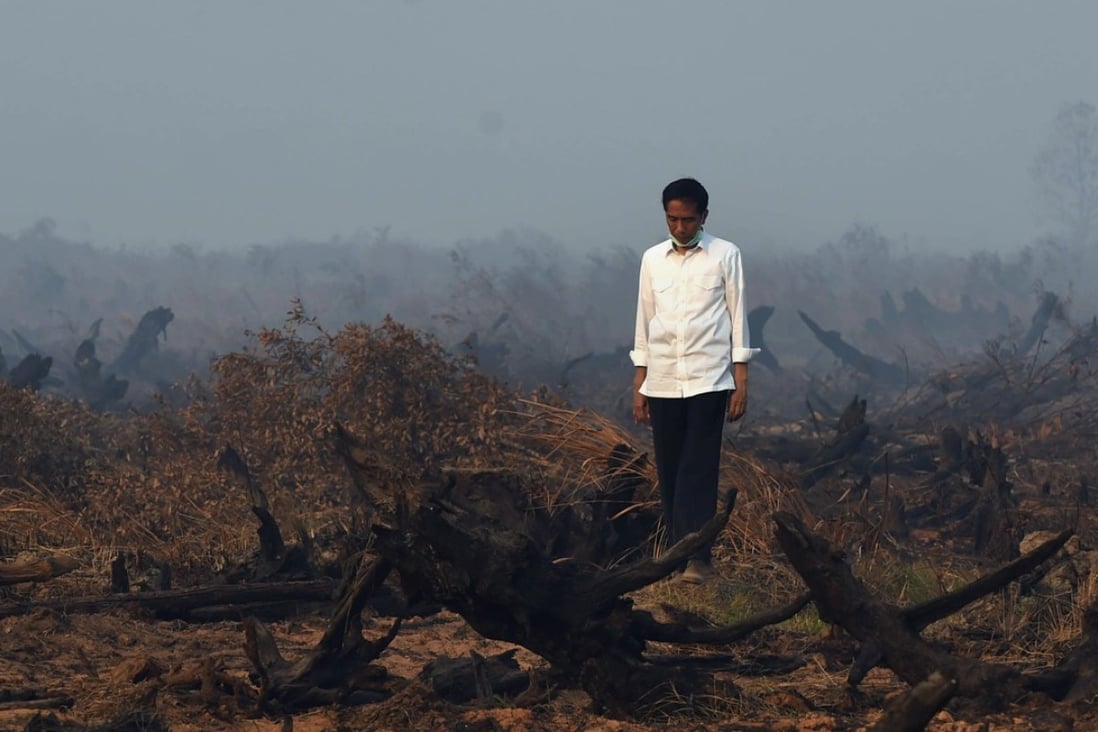 Indonesia's President Joko Widodo inspects a peat clearing that was engulfed by fire in southern Kalimantan. Photo: AFP