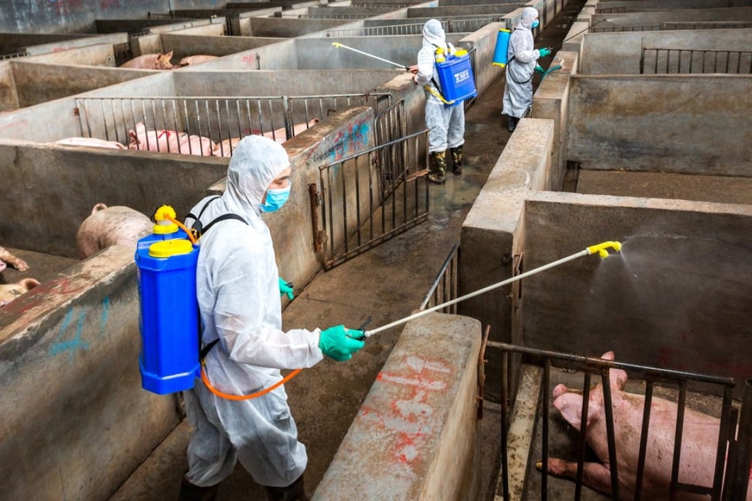 Since the first African swine fever case was confirmed in August, 18 of China’s 31 provinces and regions have been affected by the disease. Photo: ImagineChina