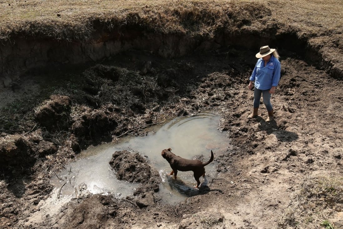A farmer with a dog visits a dried-up freshwater dam on a farm in Wandandian, New South Wales. In Australia, there have been years of division on energy and climate policies. Photo: Bloomberg