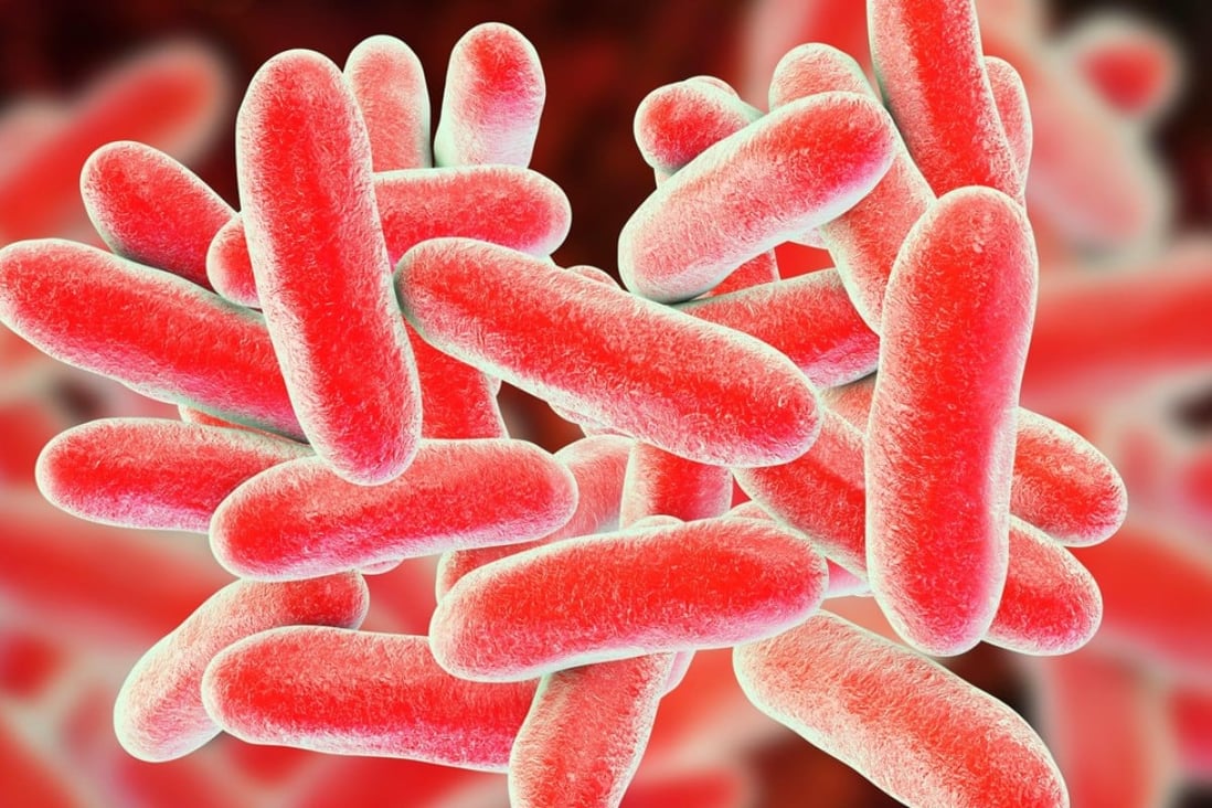 Legionnaires Disease In Hong Kong What Is It Who Is At Risk And How Do We Prevent It South China Morning Post