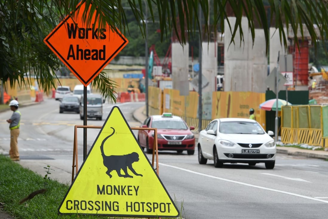 An animal crossing traffic signboard in Singapore’s Mandai district. Photo: AFP